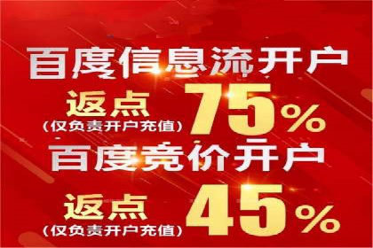 电商平台信息流广告的创意与执行案例分析